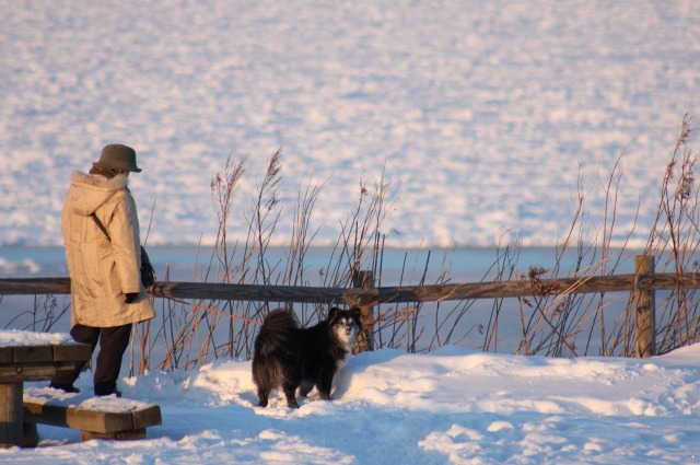 ファイル 129-3.jpg