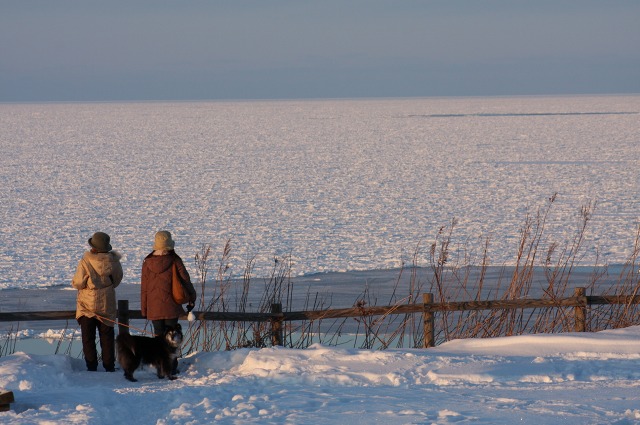 ファイル 130-1.jpg