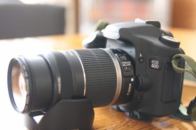 ファイル 131-1.jpg