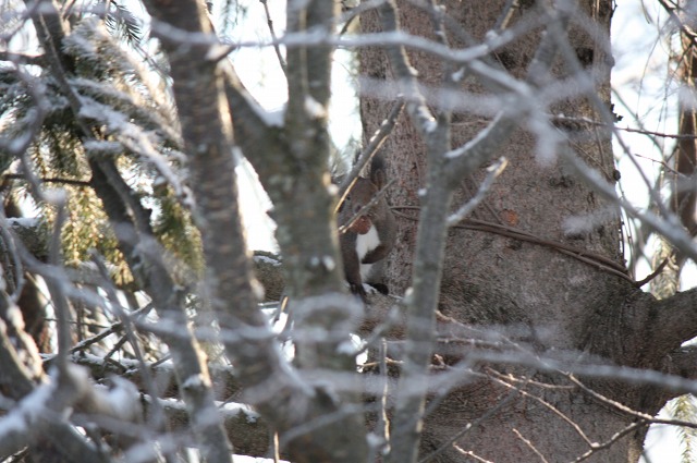 ファイル 131-2.jpg