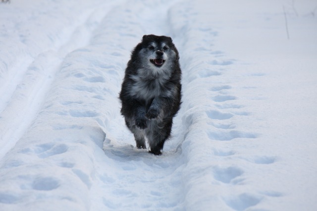 ファイル 131-3.jpg