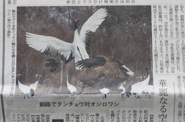 ファイル 133-1.jpg