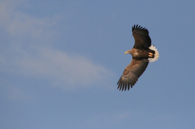 ファイル 134-3.jpg