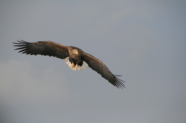 ファイル 134-5.jpg