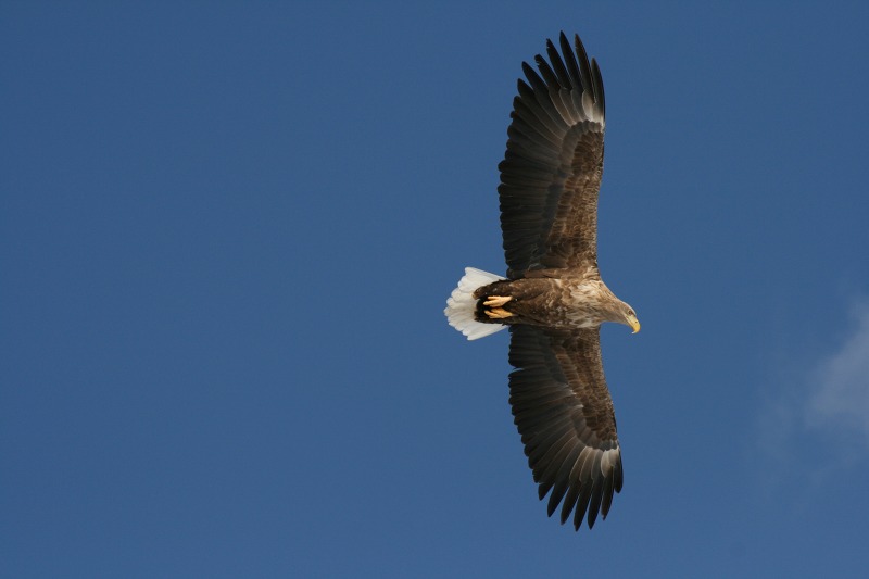 ファイル 135-4.jpg