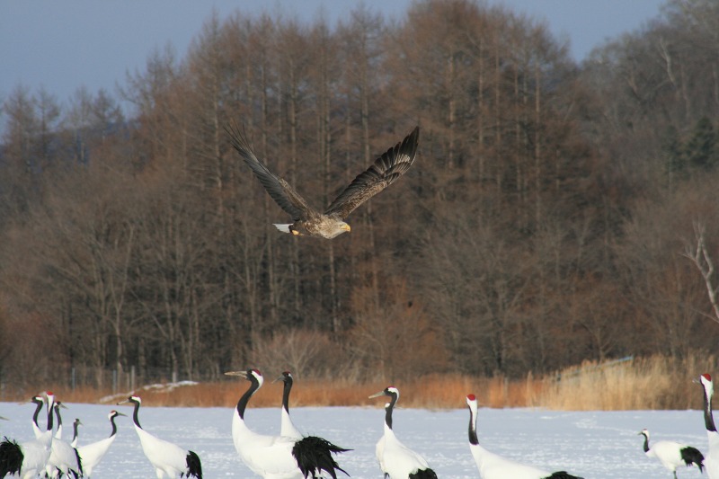 ファイル 135-5.jpg