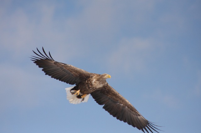 ファイル 137-1.jpg