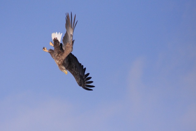 ファイル 137-3.jpg