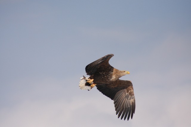 ファイル 137-4.jpg