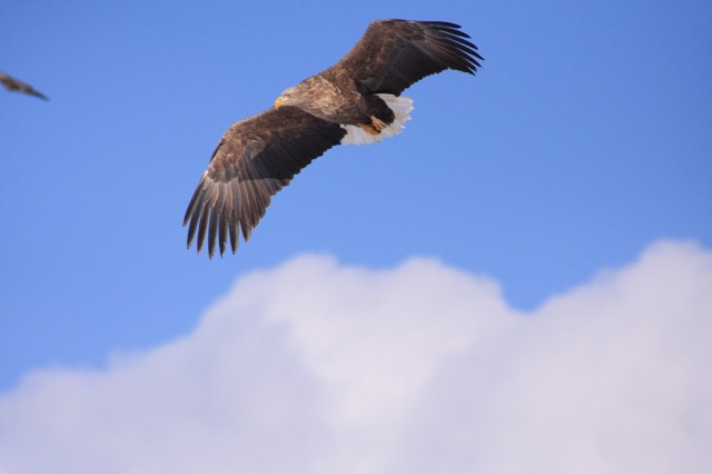 ファイル 137-5.jpg