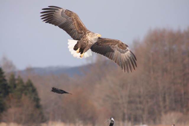 ファイル 138-1.jpg