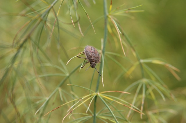 ファイル 14-2.jpg