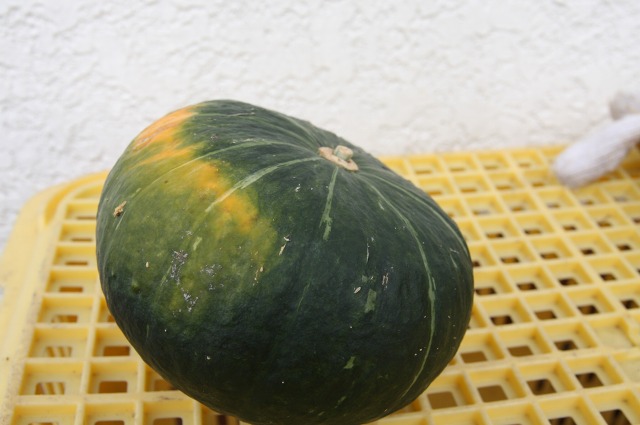 ファイル 14-4.jpg