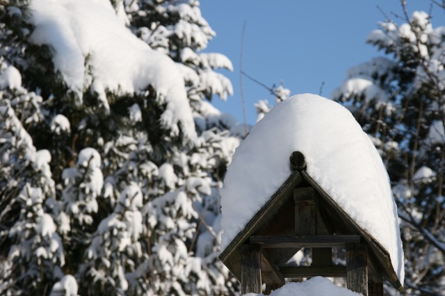 ファイル 143-3.jpg