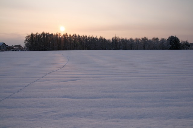 ファイル 148-2.jpg