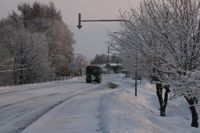 ファイル 148-3.jpg