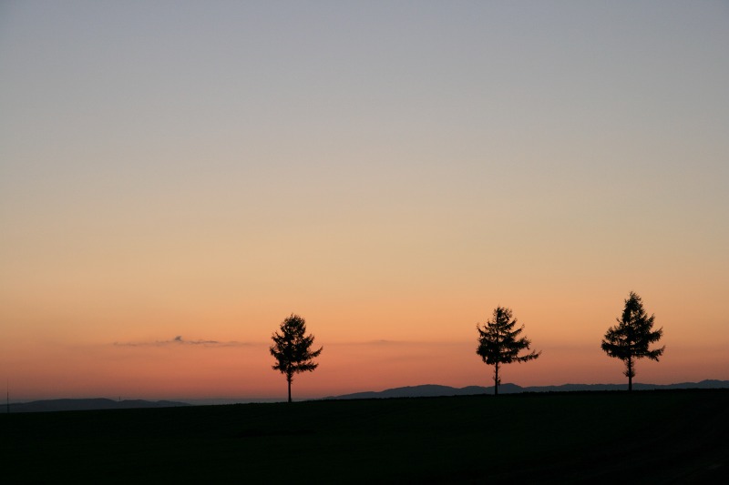 ファイル 15-3.jpg