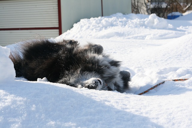 ファイル 151-4.jpg