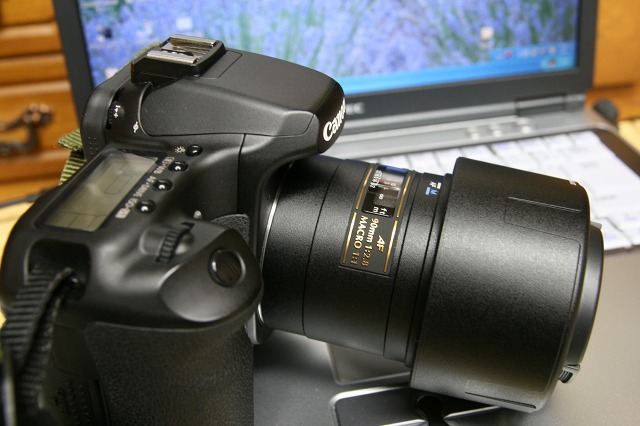 ファイル 152-5.jpg