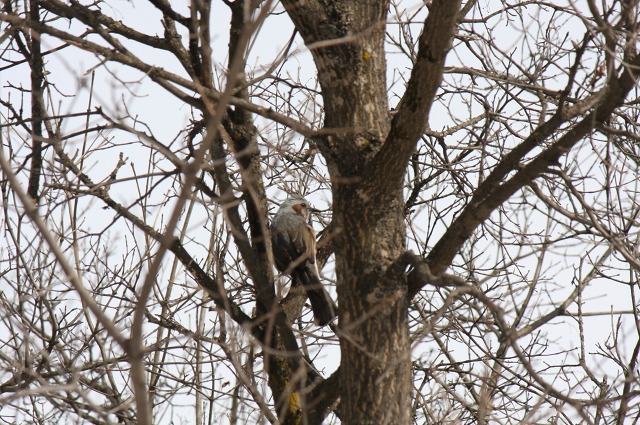 ファイル 153-1.jpg