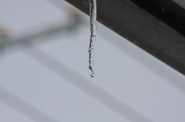 ファイル 153-5.jpg