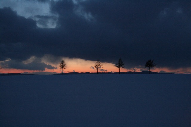 ファイル 156-4.jpg