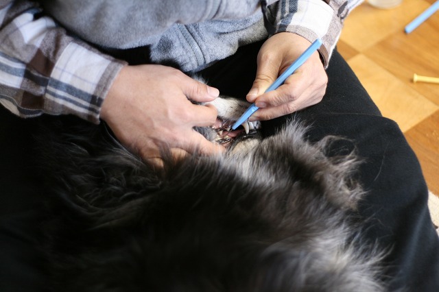 ファイル 159-1.jpg