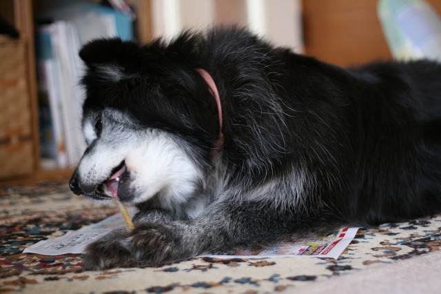 ファイル 159-2.jpg