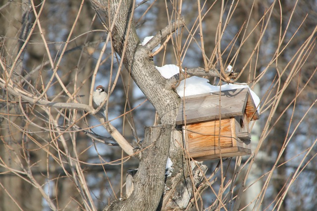 ファイル 160-2.jpg