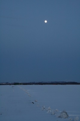 ファイル 160-5.jpg