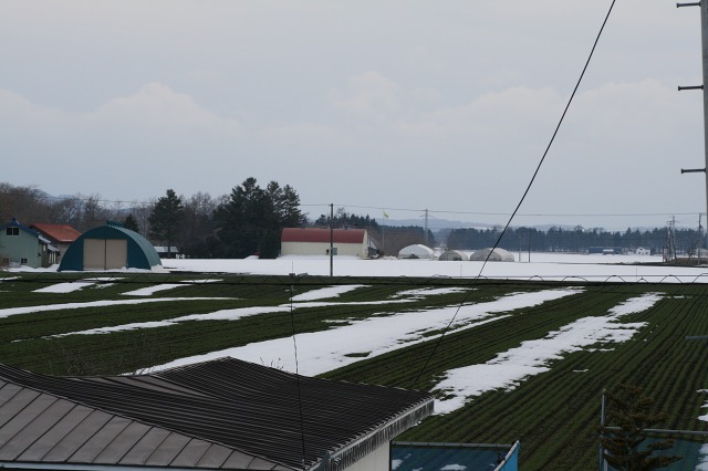 ファイル 163-5.jpg