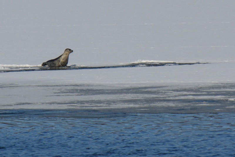 ファイル 165-3.jpg