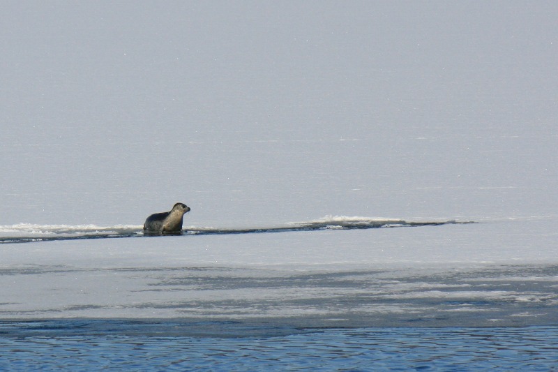 ファイル 165-4.jpg