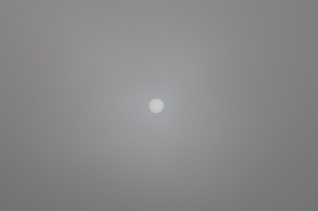 ファイル 166-1.jpg