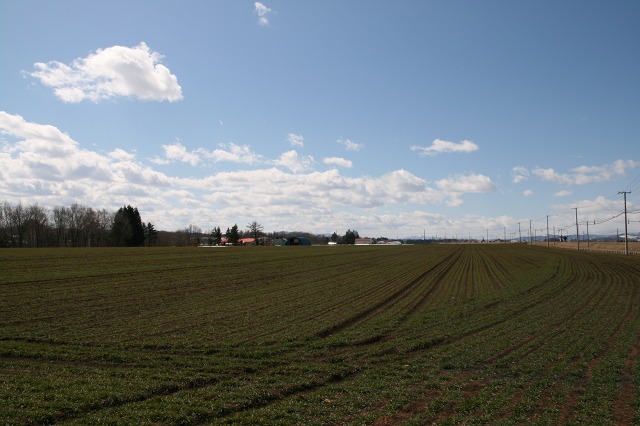 ファイル 166-2.jpg