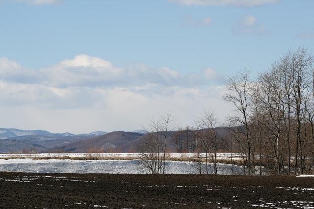 ファイル 166-3.jpg