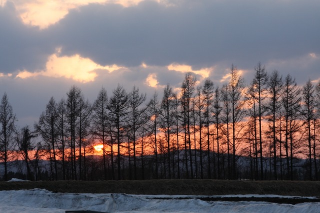 ファイル 169-1.jpg