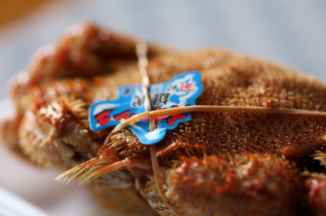 ファイル 170-1.jpg