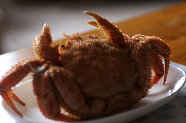 ファイル 170-2.jpg