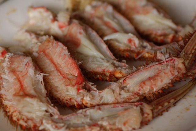 ファイル 170-4.jpg