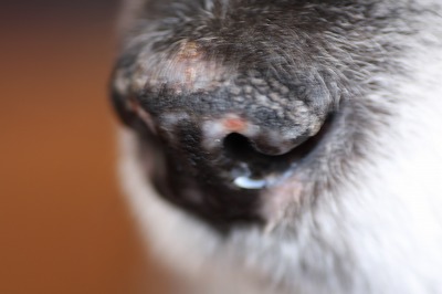 ファイル 171-3.jpg