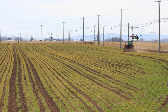 ファイル 171-4.jpg