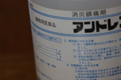 ファイル 172-1.jpg