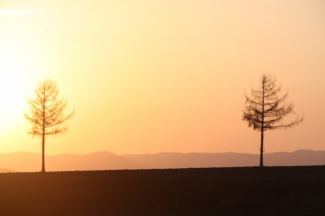 ファイル 173-2.jpg