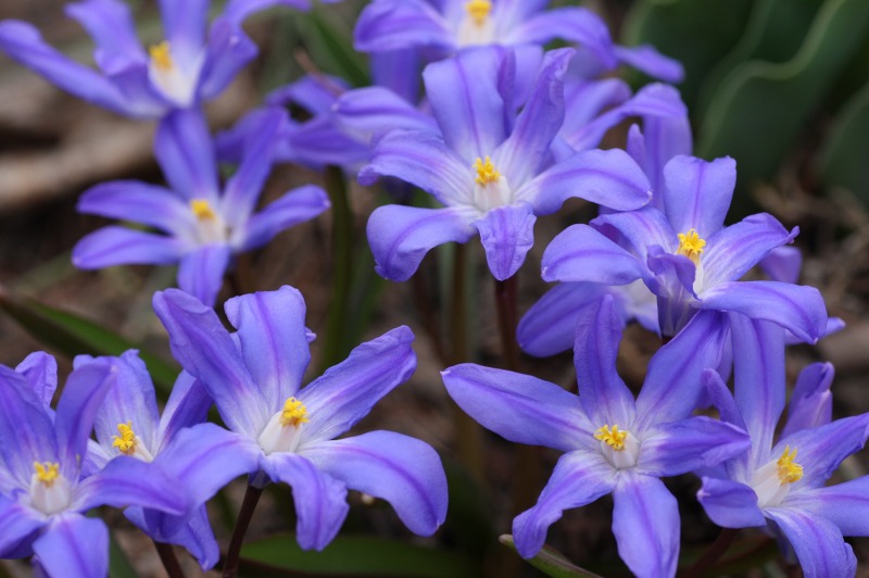 ファイル 176-1.jpg