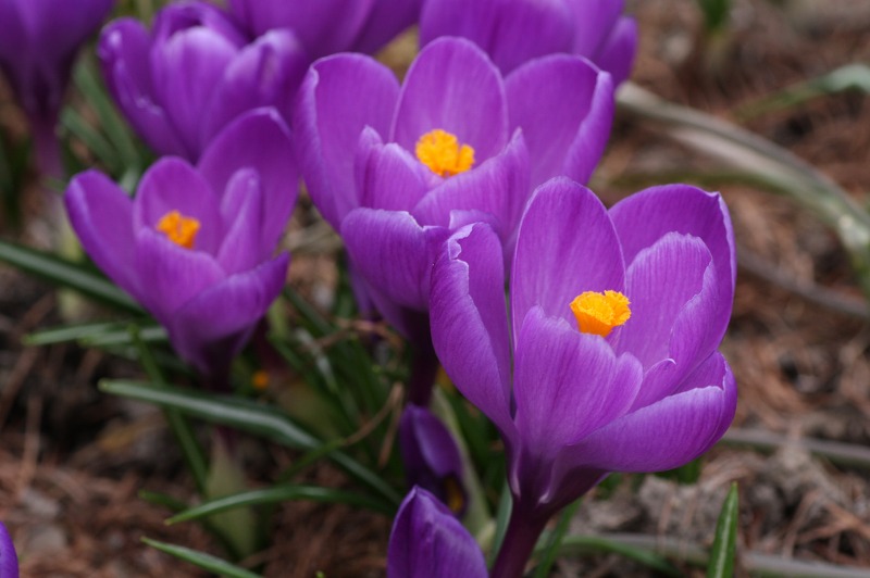 ファイル 176-2.jpg