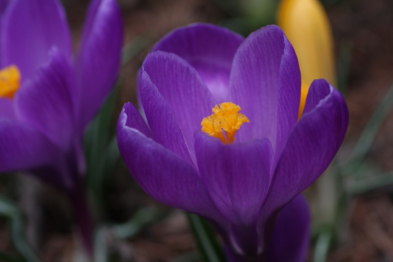 ファイル 176-3.jpg