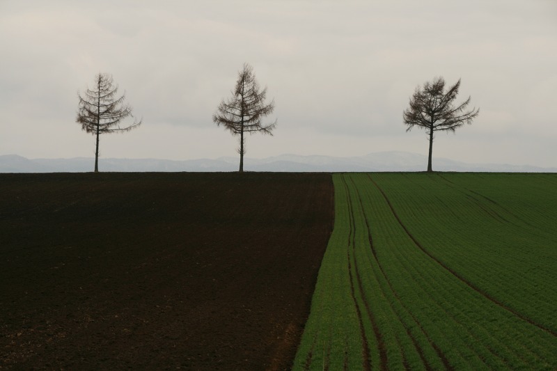 ファイル 178-1.jpg