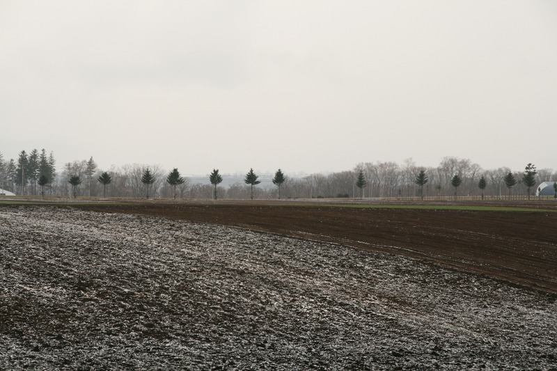 ファイル 178-2.jpg