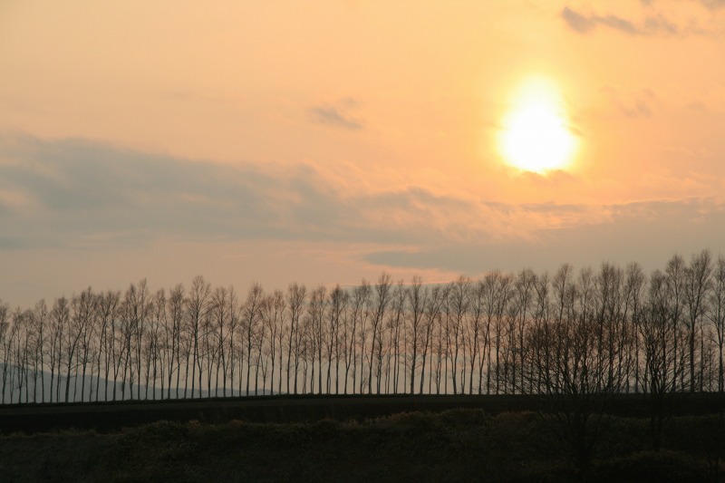 ファイル 178-4.jpg